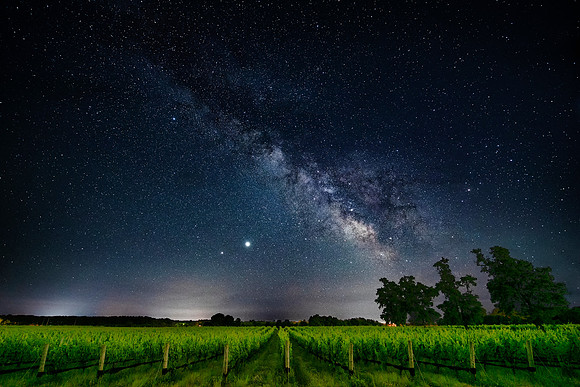 North Fork Vineyard Under the Stars
