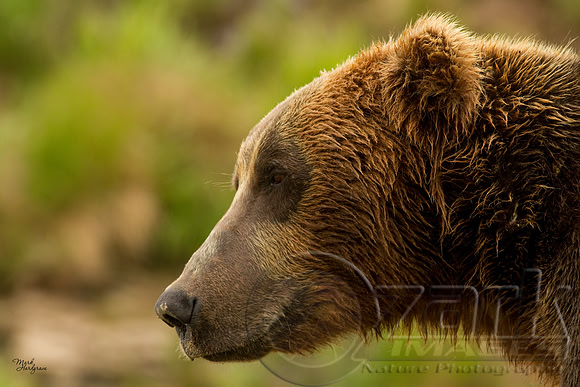 Up close portrait